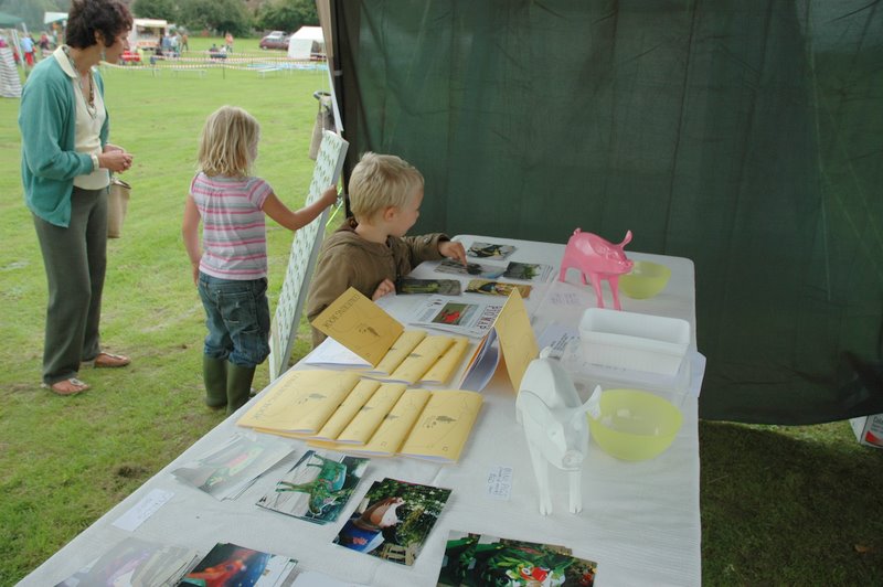 Interest in the pigs