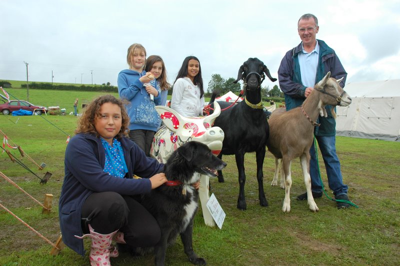Goats, pig & dog