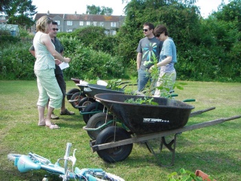 Formula One Wheelbarrows