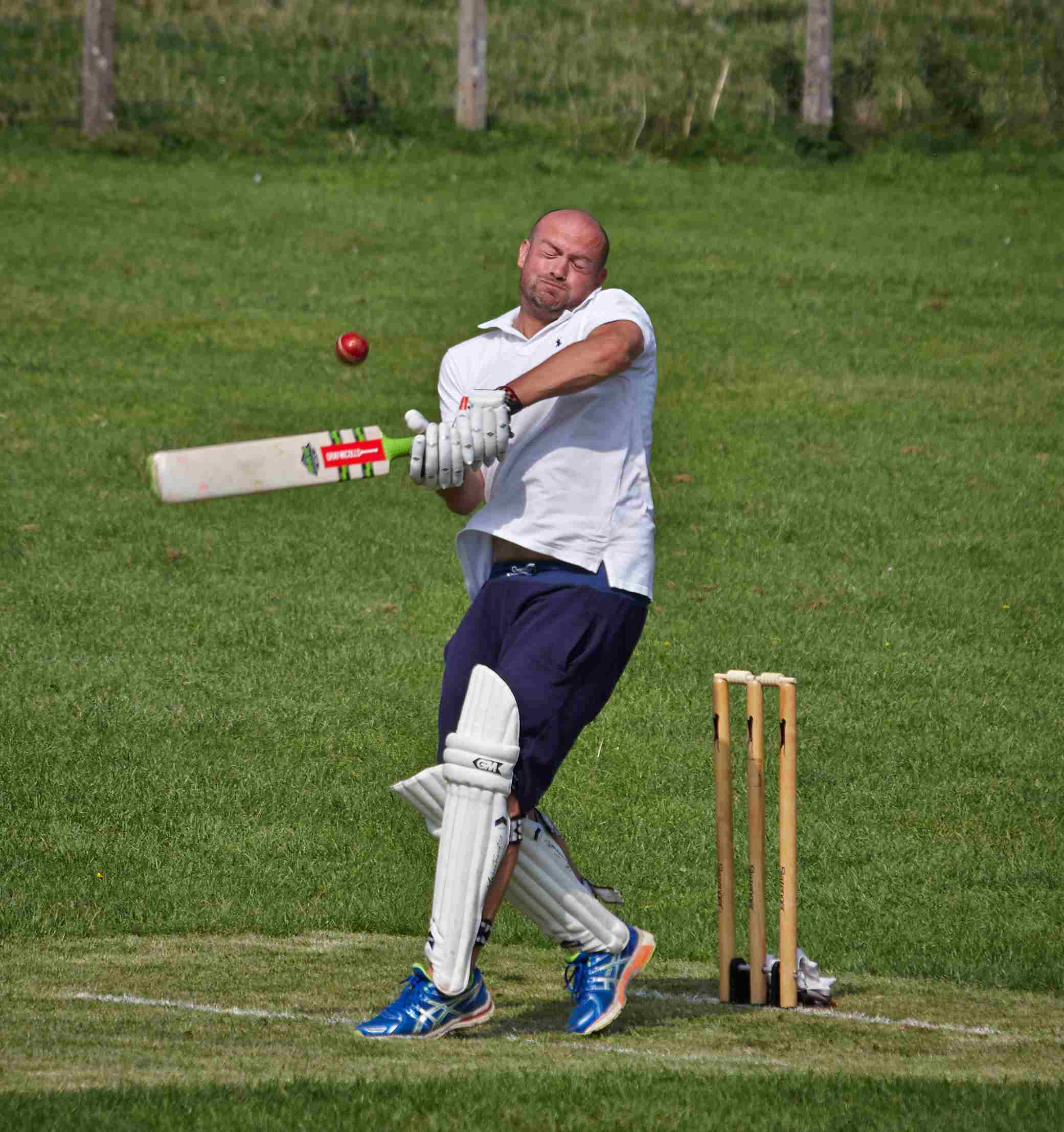 Wellow Cricket Match