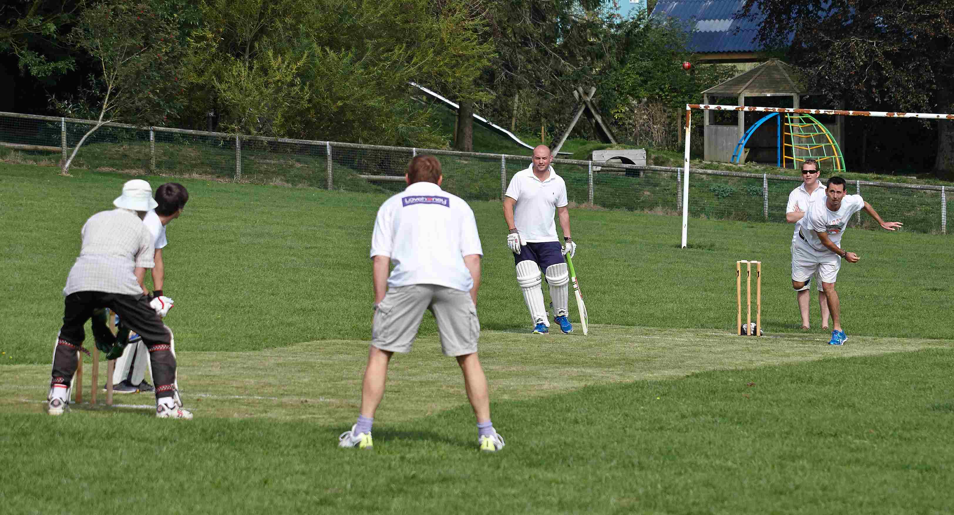 Wellow Cricket Match