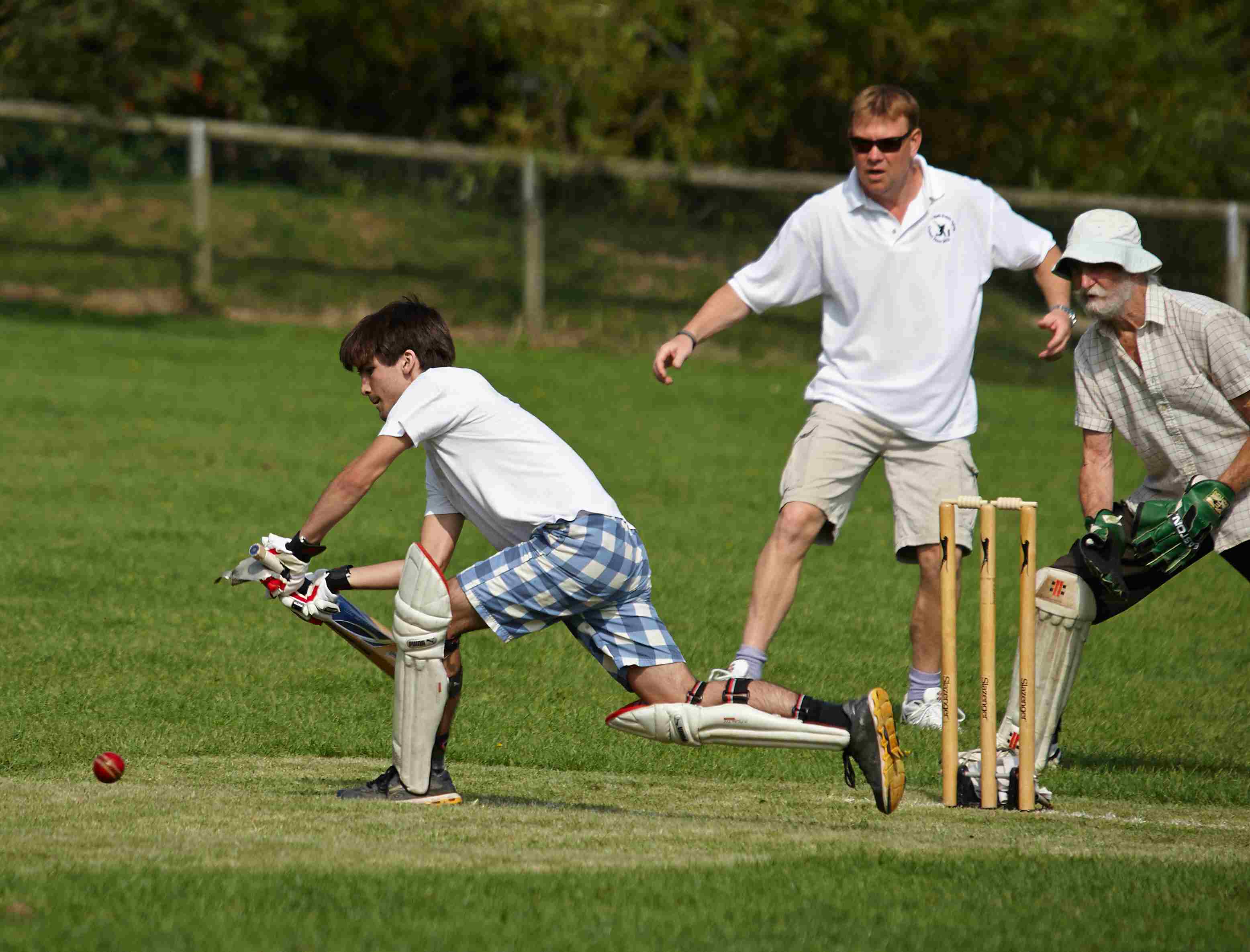 Wellow Cricket Match
