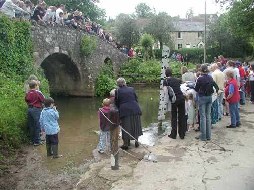 Duck race