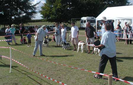 Dog show 2003