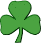 My Logo