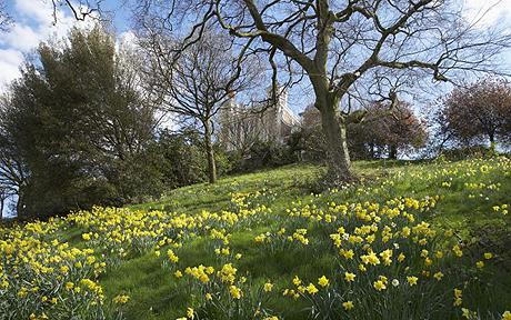 Spring image